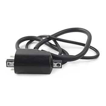 いちご 51ajO8uq35L._AC_UL210_SR210,
